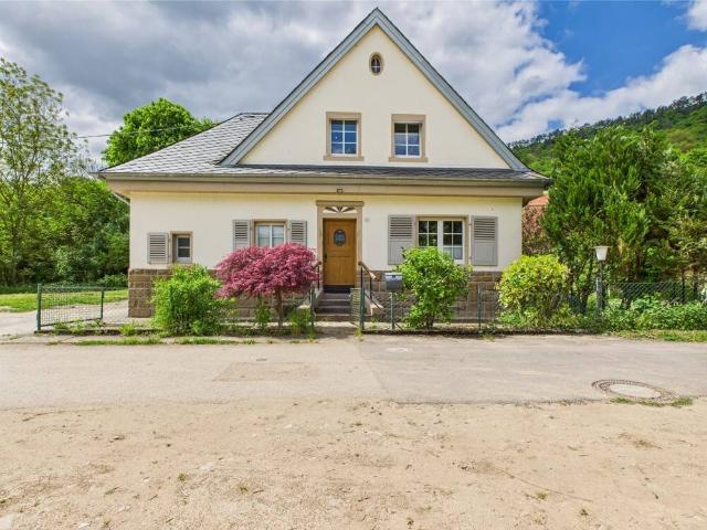 gepflegtes Einfamilienhaus in Ruhelage