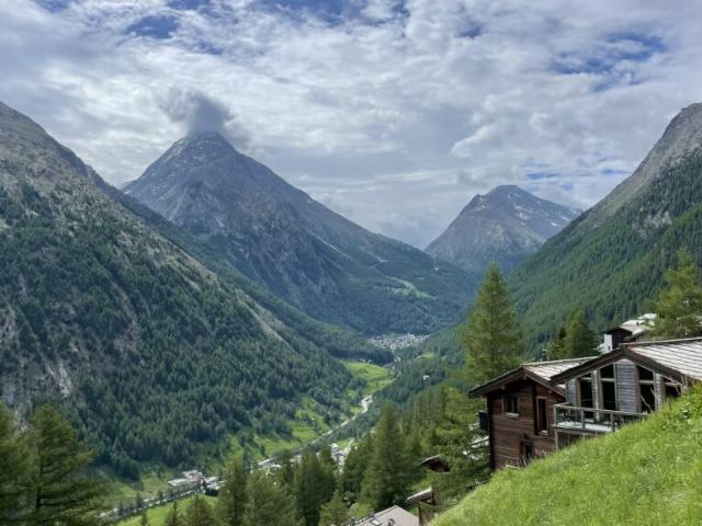 Geräumige 2.5 Zimmerwohnung mit Ostbalkon in der sonnigen Wildi. Verkauft!