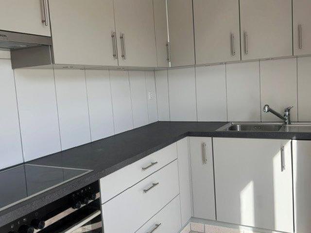 Geräumige 4 Zimmer Wohnung mit grosser Terrasse in Puidoux