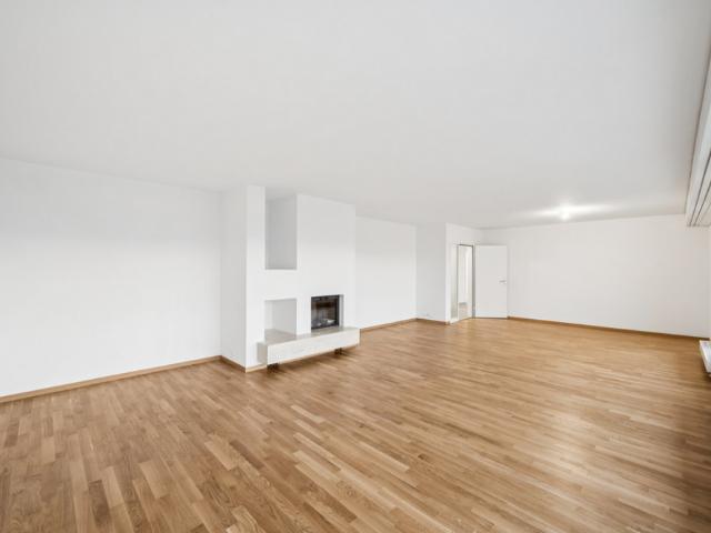 Frisch sanierte Dachwohnung mit sehr grosser Dachterrasse in Reinach