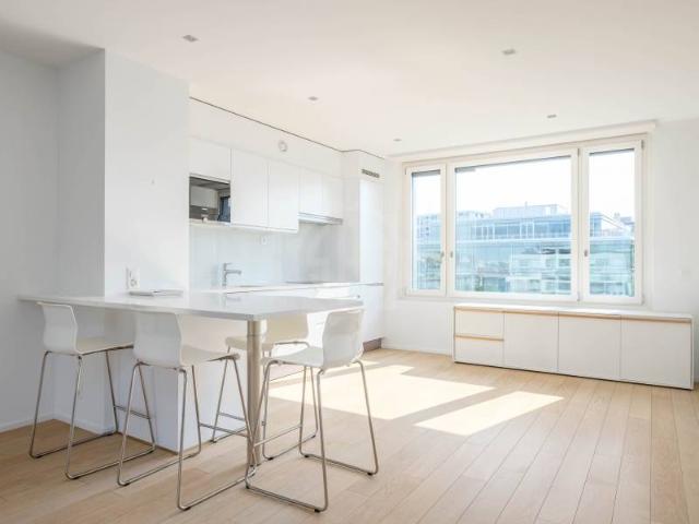 Geräumige Wohnung Genf