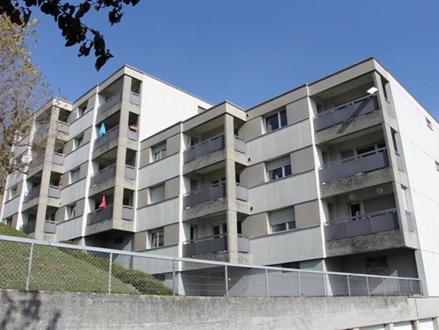 Geräumige Unterkünfte in einer wunderschönen grünen Umgebung, ohne Vis à vis!