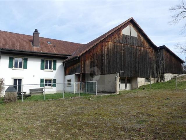 Geräumiges Haus in ruhiger Lage
