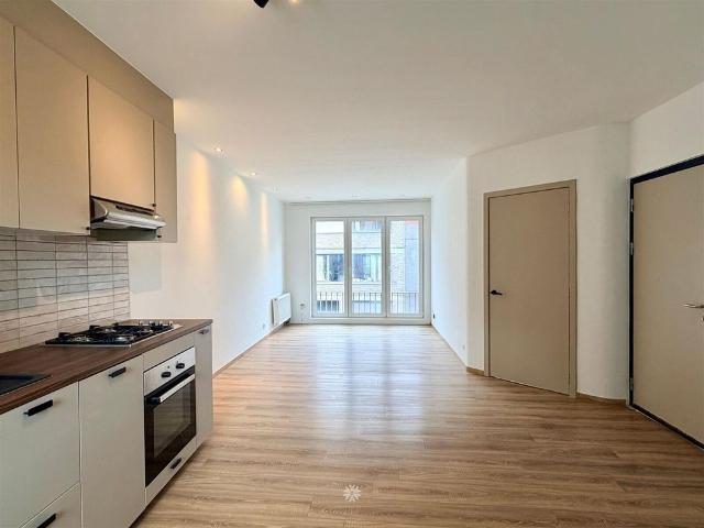 Gerenoveerd appartement te huur in rustige buurt te Gent