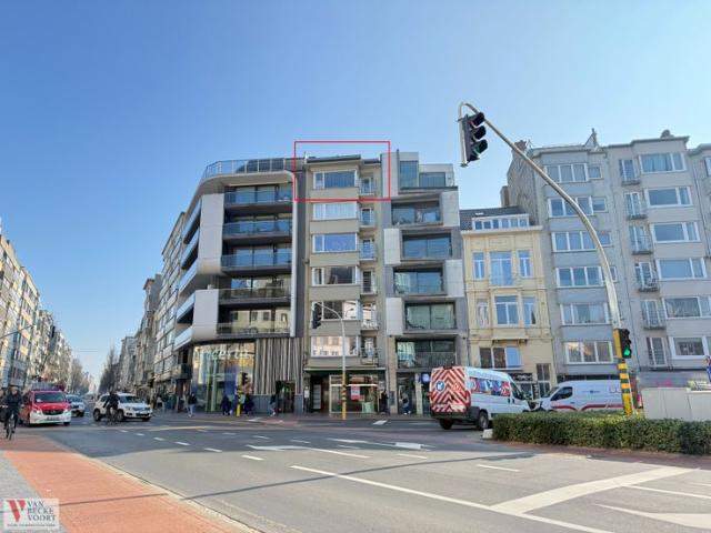 Gerenoveerd appartement met zicht op Petit Paris