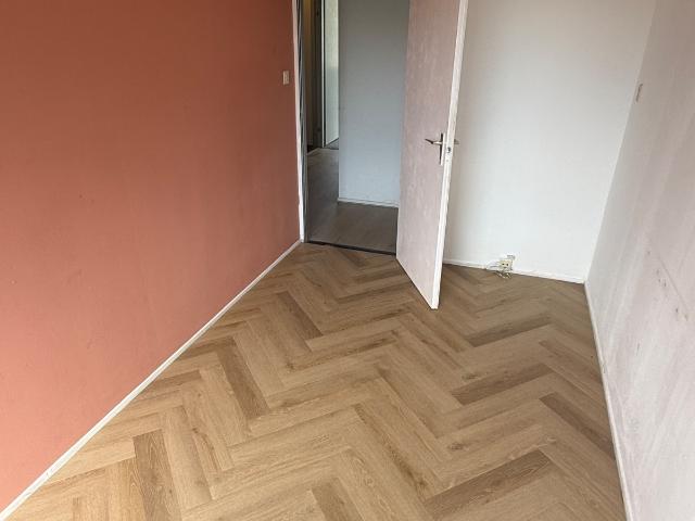 Gerenoveerde kamer – per direct beschikbaar