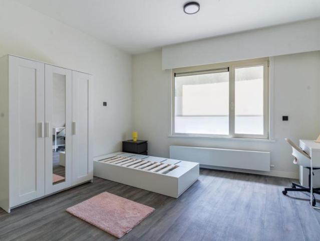 Gerenoveerde Studentenkamers & studio’s