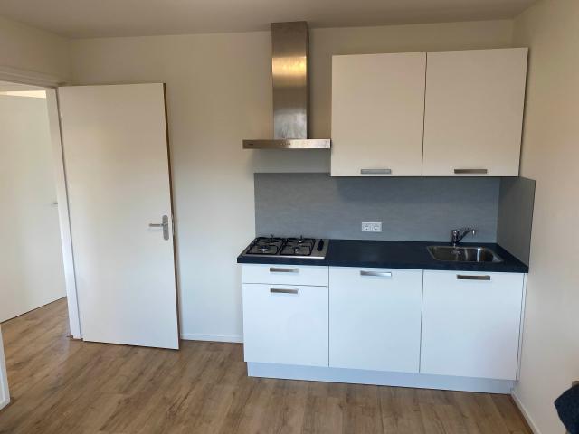 Gerenoveerde studentenwoning zoekt 5 huurders