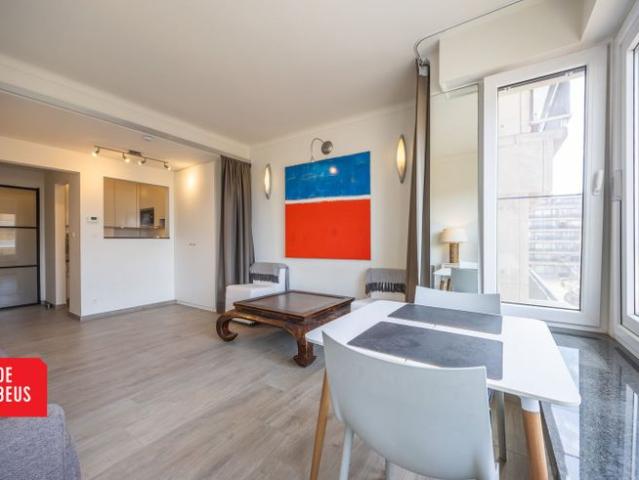 Gerenoveerde studio met lateraal zeezicht aan de Albert I.