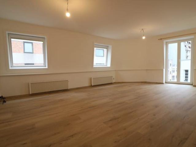 Gerenoveerde studio met slaaphoek