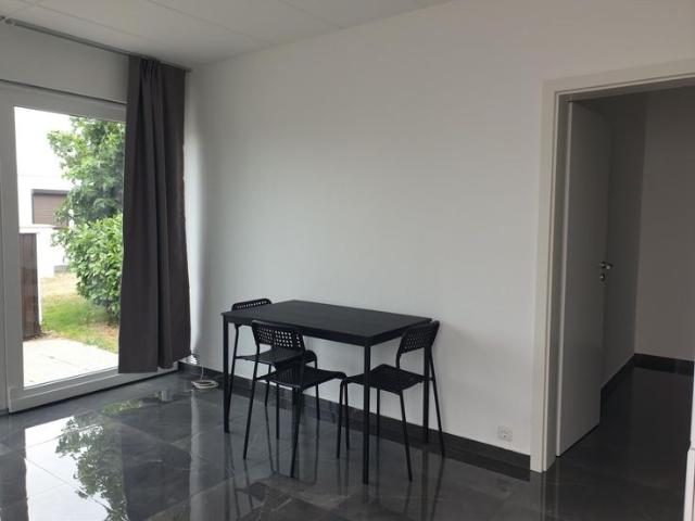 Gerenoveerde vakantiewoning met zonnig terras
