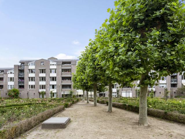 Verhuurd onder voorbehoud: Braak, De 116