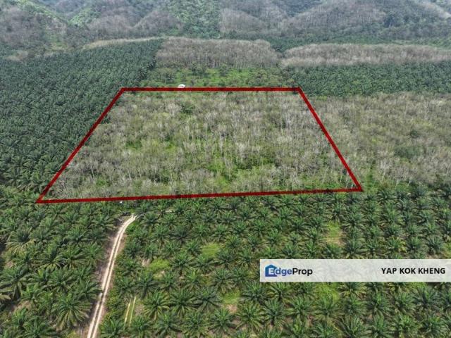 Gerik Perak 6 Acres Rubber Tree Agriculture Land For Sale 出售霹雳宜力6英亩橡胶农业地