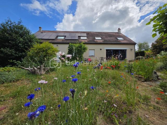 Germigny des Prés Vente Maison 45