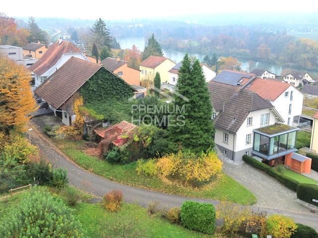 Gestalten Sie Ihr eigenes Mini Paradies