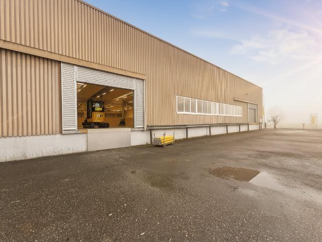 Gesamte Logistikhalle inklusive PP und Lagefläche im UG