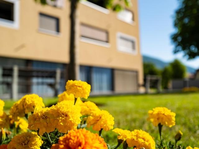 Geschützte Wohnung zu vermieten