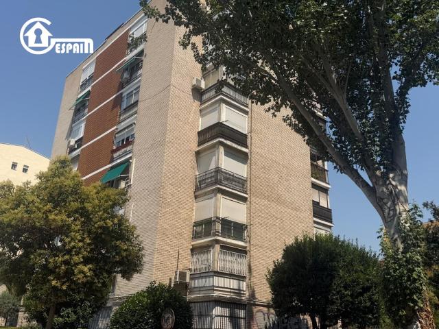 GESPAIN ALUCHE CAMPAMENTO, ofrece en EXCLUSIVA