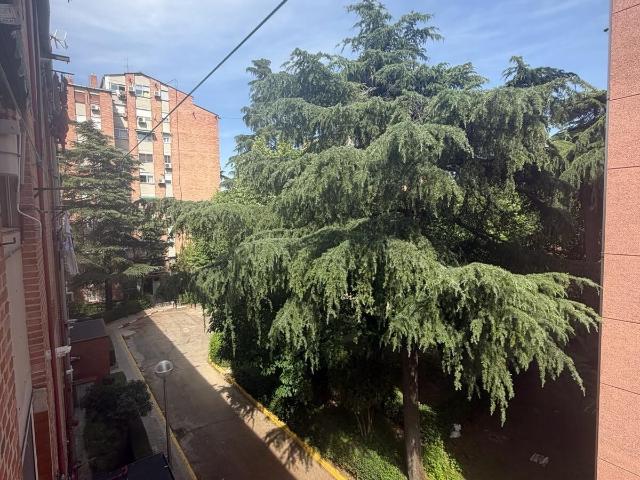GESPAIN ALUCHE CAMPAMENTO, ofrece en EXCLUSIVA