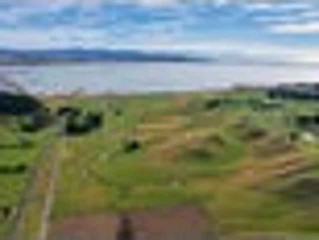 Get Creative in Clifford Bay