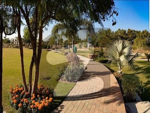 Get In Touch Now To Buy A 10 Marla Residential Plot In Top City 1