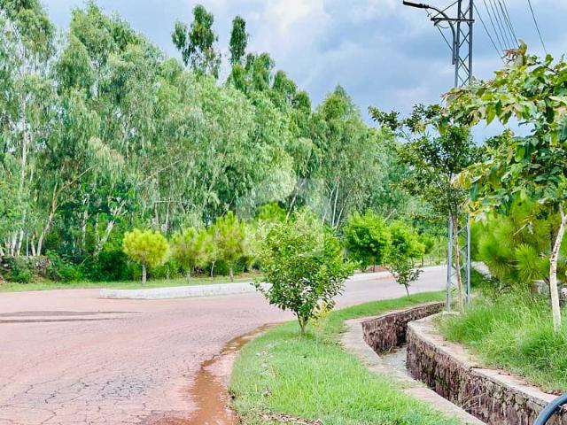 Get Your Hands On Farmhouse Plot In Naval Farms Housing Scheme Best Area