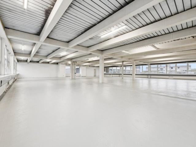 Gewerbefläche oder Atelier mit Büro und Produktionsteil