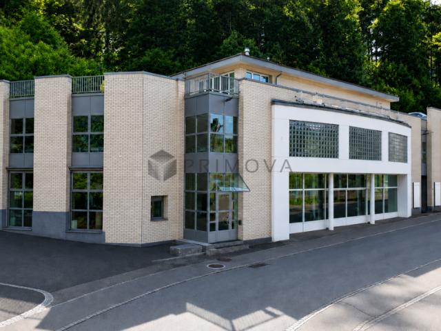 Gewerbeliegenschaft mit Bauland und Projektpotenzial an strategischer Tonlage