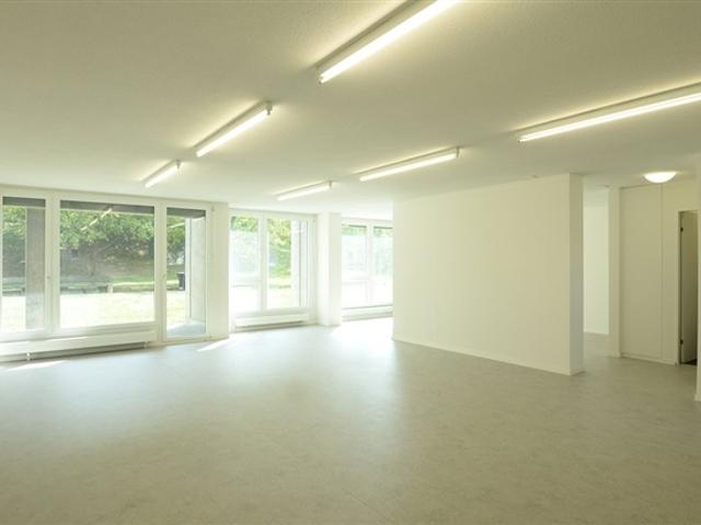 Gewerbemöglichkeiten in Schlieren