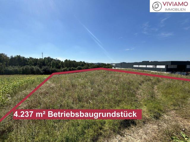 Gewidmetes Betriebsbaugrundstück ohne Bauzwang I Beste Sichtbarkeit auf die A8 Innkreisautobahn