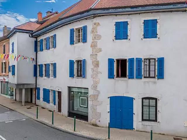 Gex 01170 Achat / Vente maison 10 pièces t10