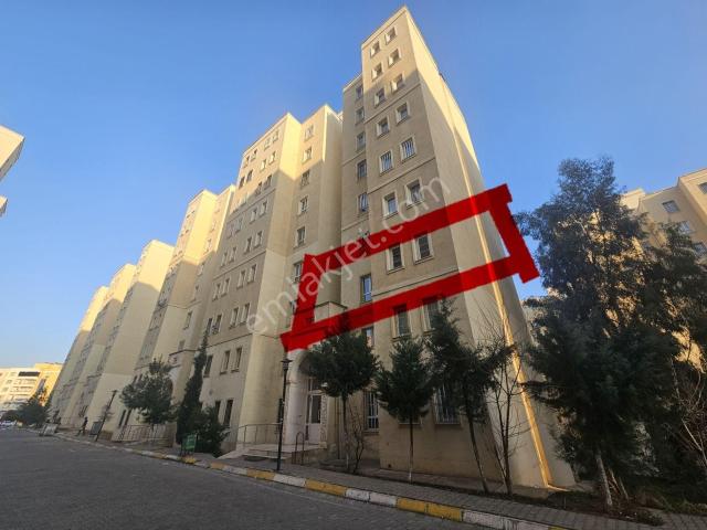 Geylani Emlaktan Satılık Arakat Toki Dairesi 84 M2 2.kat