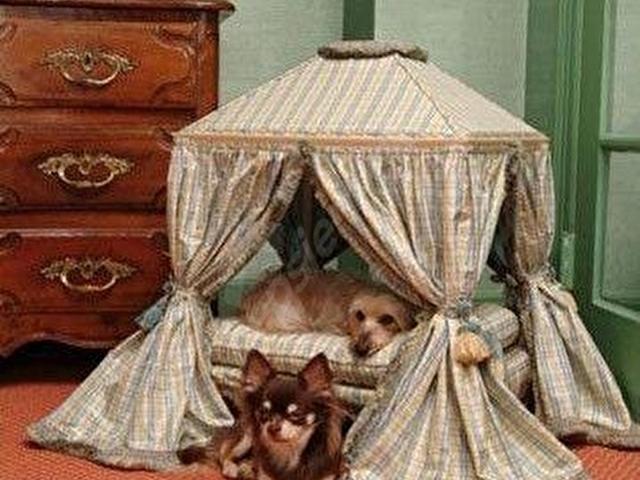 GEZ AL' DAN BAĞLUM DA KÖPEK KONAKLAMA İŞLETMESİ