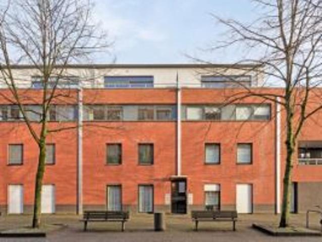 Gezellig en modern opgevatte penthouse met 2 slpks en zonne
