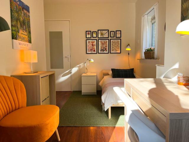 Gezellige, Luxe Kamer voor Int. Studenten