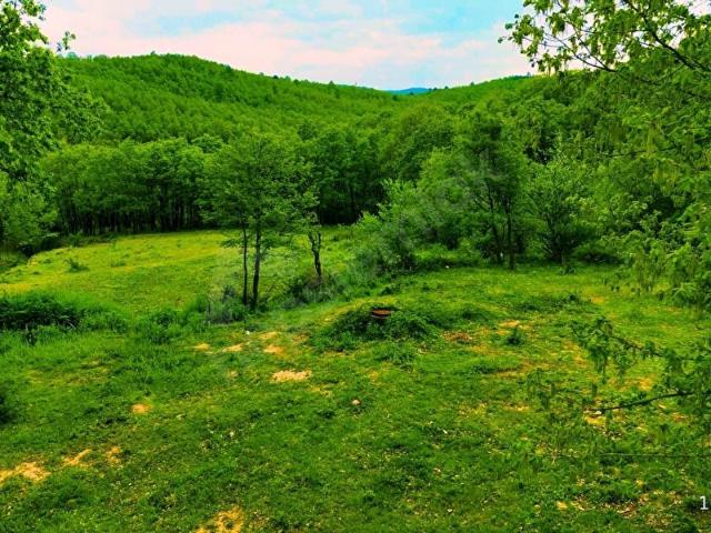 GK GÜLER GAYRİMENKUL'DEN BIÇKIDERE'DE SATILIK 0,35 İMARLI ARSA