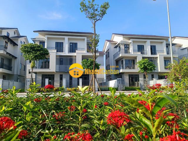 Giảm mạnh 2 tỷ cần bán nhanh biệt thự trong tháng 7