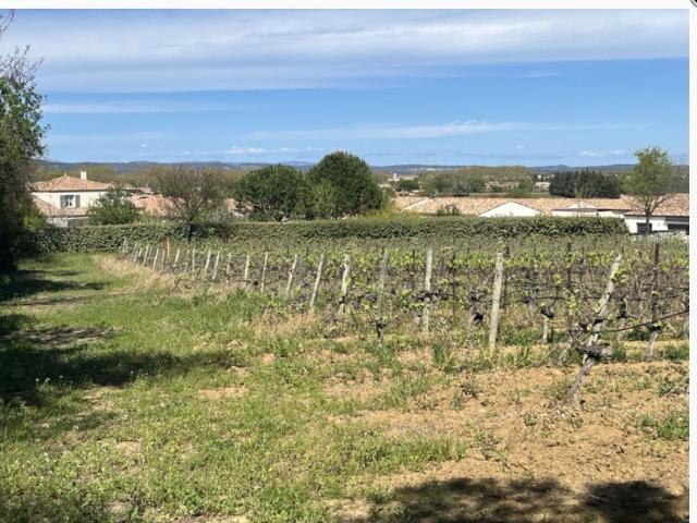 Ginestas Vente Terrain 11