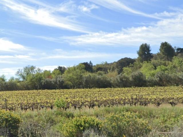 Ginestas Vente Terrain 11