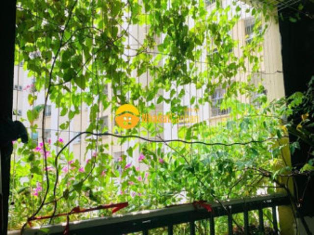 Gia đình mình cần bán căn hộ khu đô thị nam cường, 2pn, 82m2, giá rẻ thôi ạ. Lh 0978837