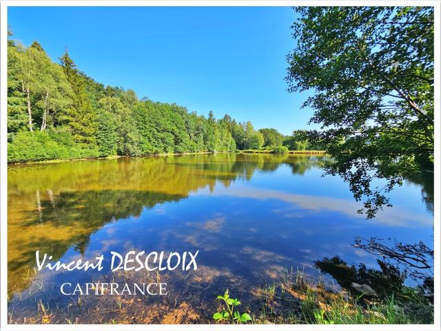Gien sur Cure Vente Terrain 58
