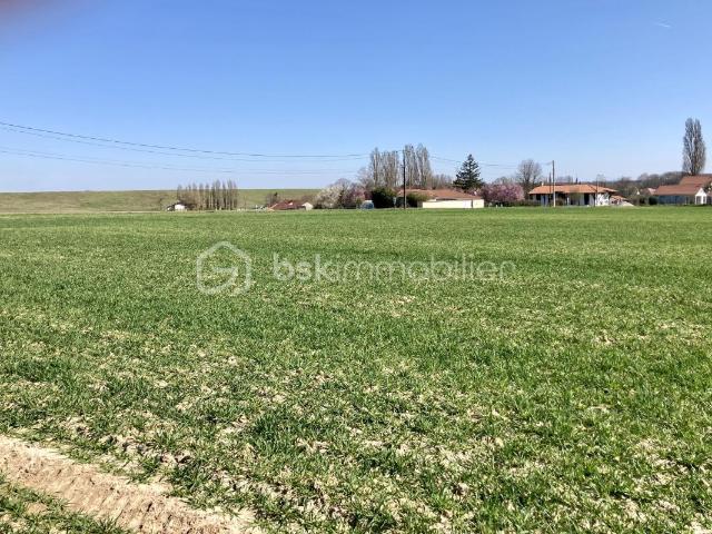 Giffaumont Champaubert Vente Terrain 51