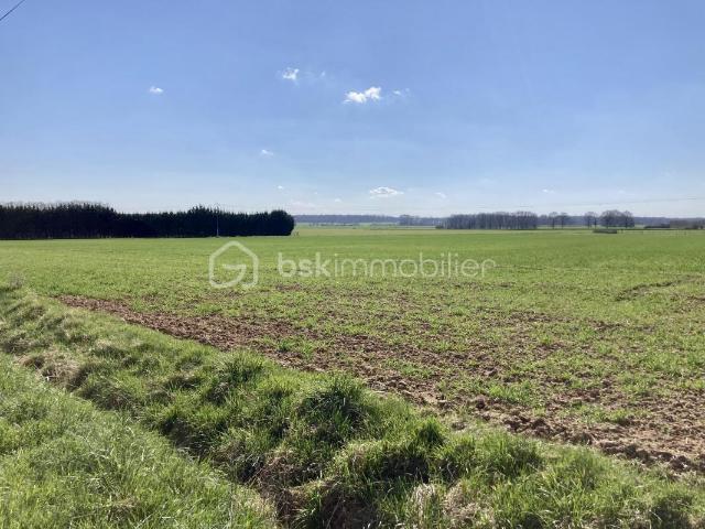 Giffaumont Champaubert Vente Terrain 51
