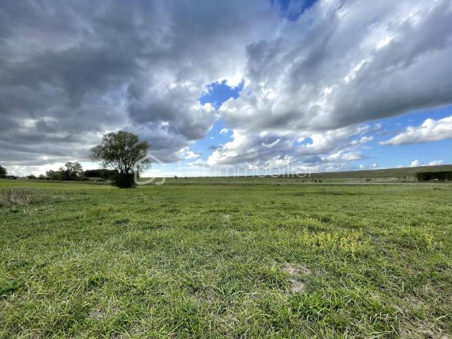 Giffaumont Champaubert Vente Terrain 51