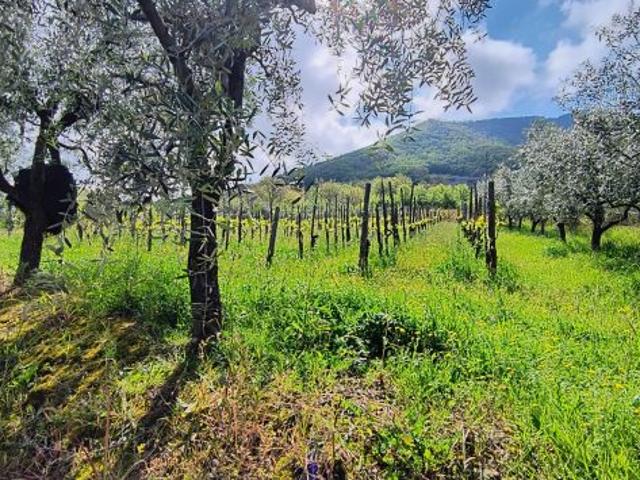 GIFFONI VALLE PIANA ORNITO Terreno di mq 2.300 con Roulotte