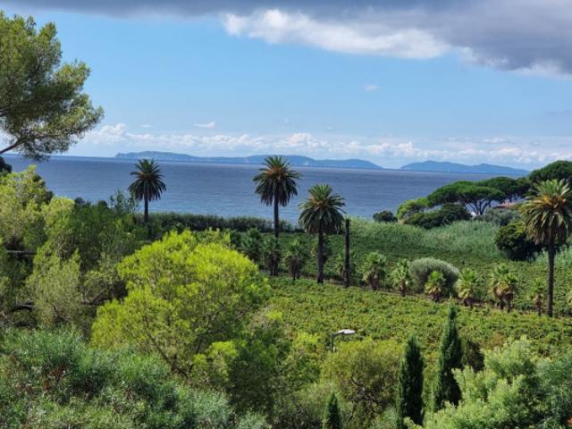 GIGARO 300M DE L EAU PROPRIETE CONTEMPORAINE REALISEE PAR LE