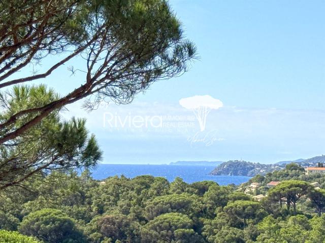 Gigaro Propriété contemporaine avec piscine et vue mer 243m² La Croix Valmer