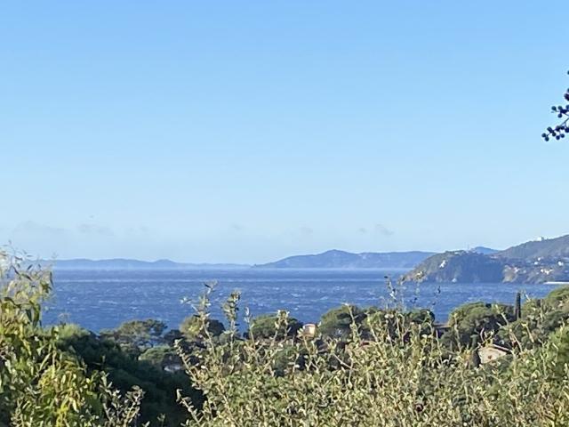 Gigaro