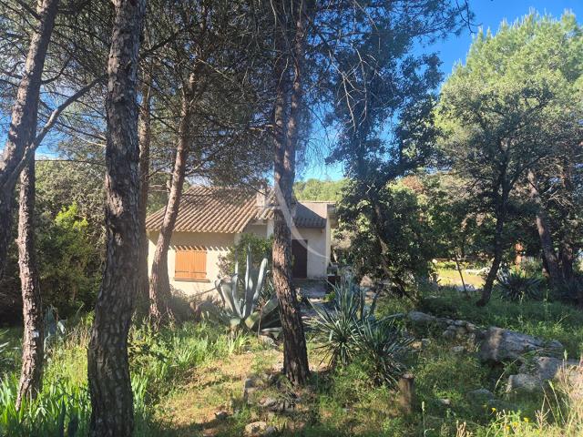 Gigean Vente Terrain 34