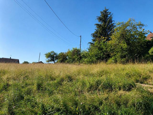 Gillonnay Vente Terrain 38
